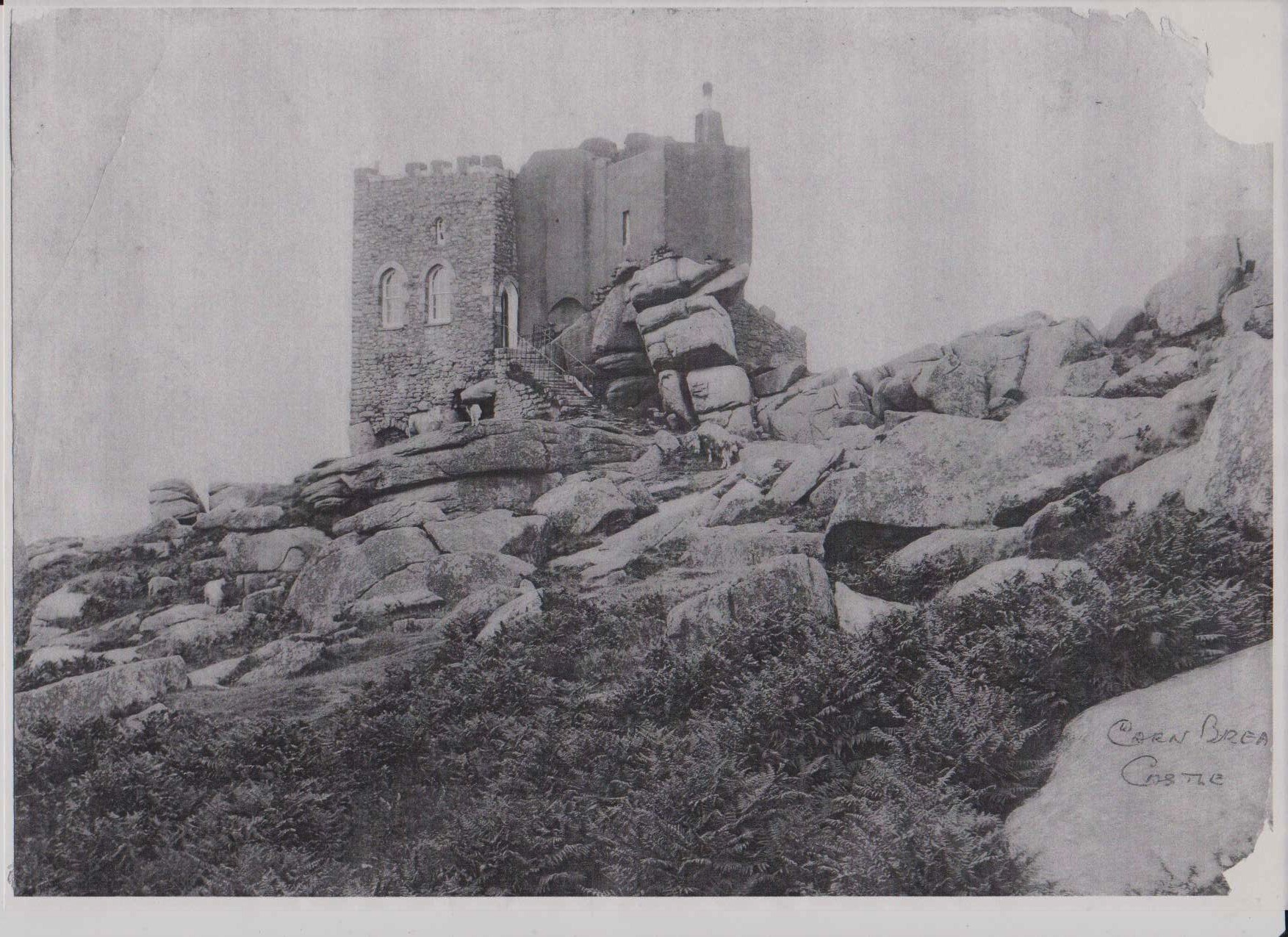 carn brea castle with goats